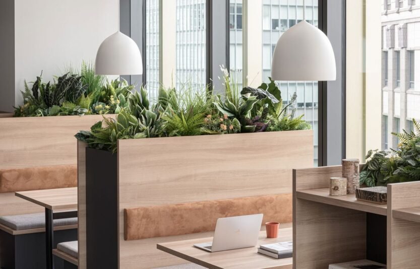 009aa1c50b3aba28f339d29a246fddc8