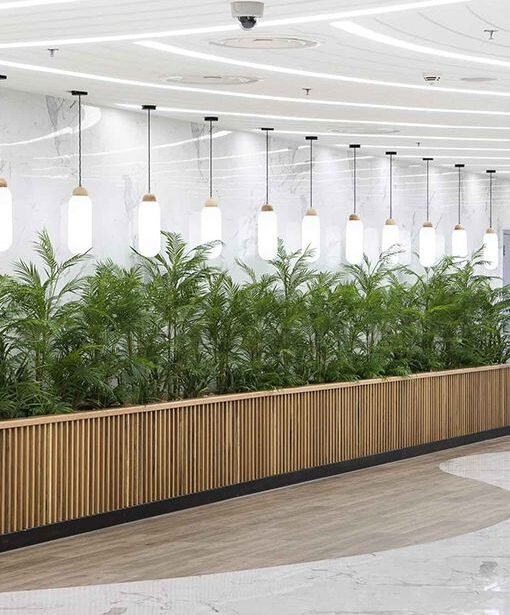 a0dc6dbc2f28919439c70de1eec16d85